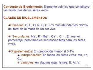 U1 1 componentes moleculares  inorganicos