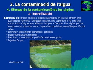 2. La contaminació de l’aigua 4.   Efectes de la contaminació de les aigües a.   Eutrofització Eutrofització : procés en llocs d’aigües estancades en les que arriben gran quantitat de nutrients i s’esgoten l’oxigen. A la superfície hi ha una gran productivitat d’algues que alliberen l’oxigen a l’exterior i les aigües perden transparència, aquestes moren i apareixen condicions anaeròbiques. Es pot evitar: * Disminuir abocaments domèstics i agrícoles * Depuració d’aigües residuals * Disminuir la quantitat de polifosfats dels detergents * Injectar O 2  pur. Pantà eutròfic 