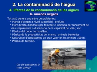 2. La contaminació de l’aigua 4.   Efectes de la contaminació de les aigües b.   marees negres Tot això genera una sèrie de problemes: * Manca d’oxigen a nivell superficial i profund * Mort directa d’animals per toxicitat e indirecta per tancament de vies respiratòries o disminució de la capacitat de volar, etc. * Pèrdua del poder termoaïllant. * Pèrdua de la productivitat del marisc i animals bentònics * Destrucció d’ecosistemes de gran valor en els primers 100 m. * Pèrdua de turisme. Cas del prestige en la costa gallega 