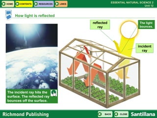 How light is reflected The incident ray hits the surface. The reflected ray bounces off the surface. incident ray reflecte...