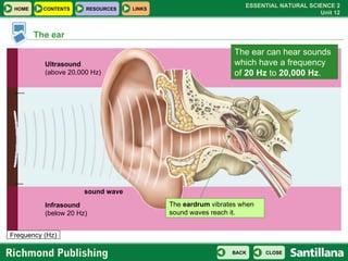 The ear Frequency (Hz) Infrasound (below 20 Hz) Ultrasound (above 20,000 Hz) The ear can hear sounds  which have a frequen...