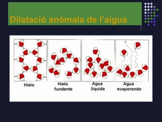 Dilatació anòmala de l’aigua
 
