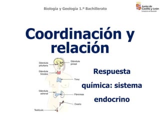 Coordinación y
relación
Biología y Geología 1.º Bachillerato
Respuesta
química: sistema
endocrino
 