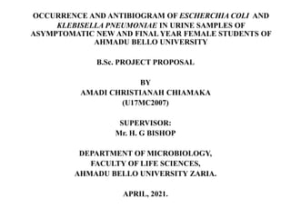 OCCURRENCE AND ANTIBIOGRAM OF ESCHERCHIA COLI AND
KLEBISELLA PNEUMONIAE IN URINE SAMPLES OF
ASYMPTOMATIC NEW AND FINAL YEAR FEMALE STUDENTS OF
AHMADU BELLO UNIVERSITY
B.Sc. PROJECT PROPOSAL
BY
AMADI CHRISTIANAH CHIAMAKA
(U17MC2007)
SUPERVISOR:
Mr. H. G BISHOP
DEPARTMENT OF MICROBIOLOGY,
FACULTY OF LIFE SCIENCES,
AHMADU BELLO UNIVERSITY ZARIA.
APRIL, 2021.
 