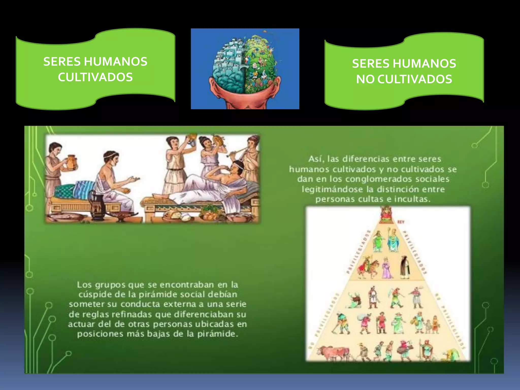 SERES HUMANOS
CULTIVADOS
SERES HUMANOS
NO CULTIVADOS
 