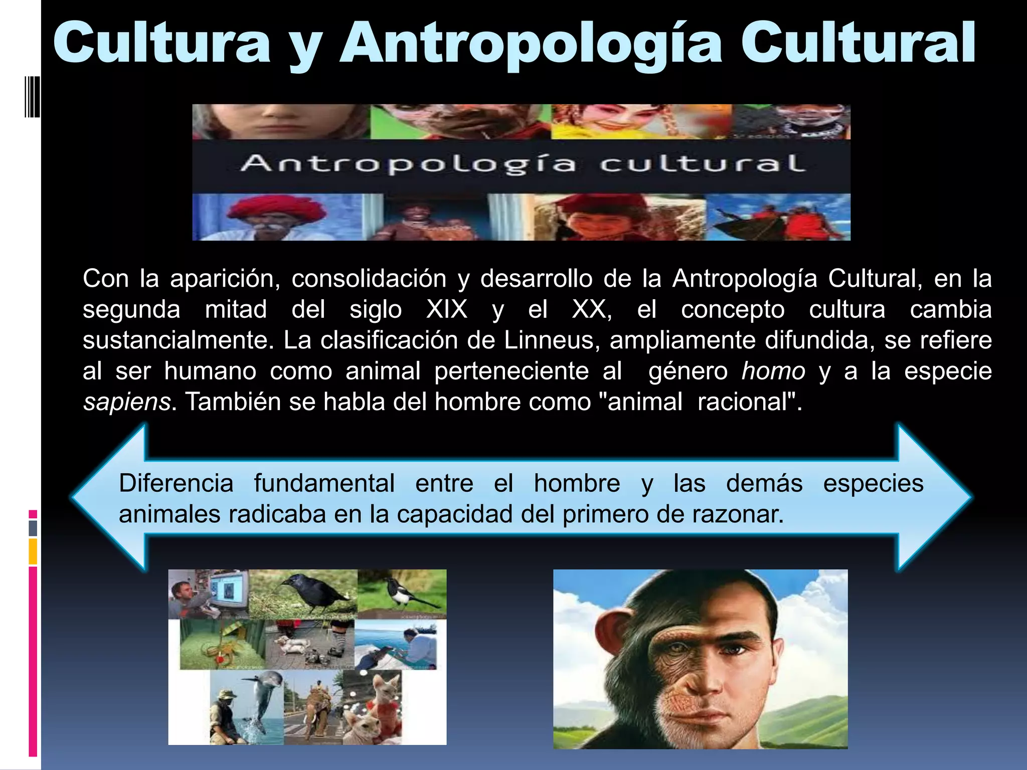 Cultura y Antropología Cultural
Con la aparición, consolidación y desarrollo de la Antropología Cultural, en la
segunda mitad del siglo XIX y el XX, el concepto cultura cambia
sustancialmente. La clasificación de Linneus, ampliamente difundida, se refiere
al ser humano como animal perteneciente al género homo y a la especie
sapiens. También se habla del hombre como "animal racional".
Diferencia fundamental entre el hombre y las demás especies
animales radicaba en la capacidad del primero de razonar.
 