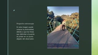 z
Perspectiva estereoscopia
En esta imagen puede
notarse la profundidad,
debido a que las líneas
que delimitan el puente
se juntan en un punto
alejado del observador.
 