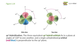Organic Chemistry Introduction Background | PPTX