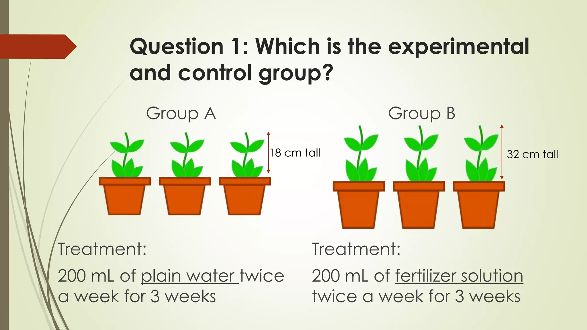 Question 1: Which is the experimental
and control group?
Treatment:
200 mL of plain water twice
a week for 3 weeks
18 cm tall 32 cm tall
Group A Group B
Treatment:
200 mL of fertilizer solution
twice a week for 3 weeks
 