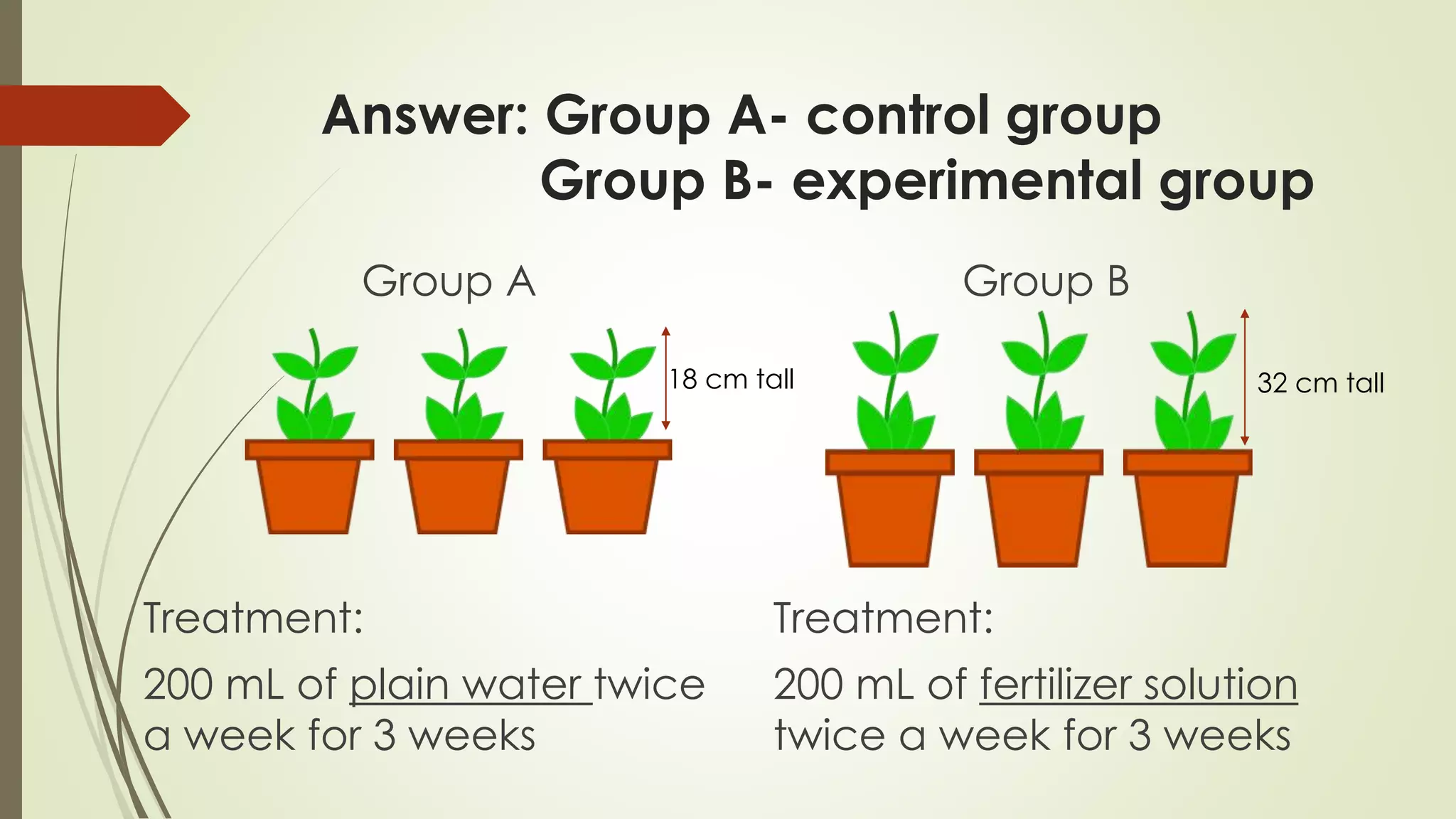 Answer: Group A- control group
Group B- experimental group
Treatment:
200 mL of plain water twice
a week for 3 weeks
18 cm tall 32 cm tall
Group A Group B
Treatment:
200 mL of fertilizer solution
twice a week for 3 weeks
 