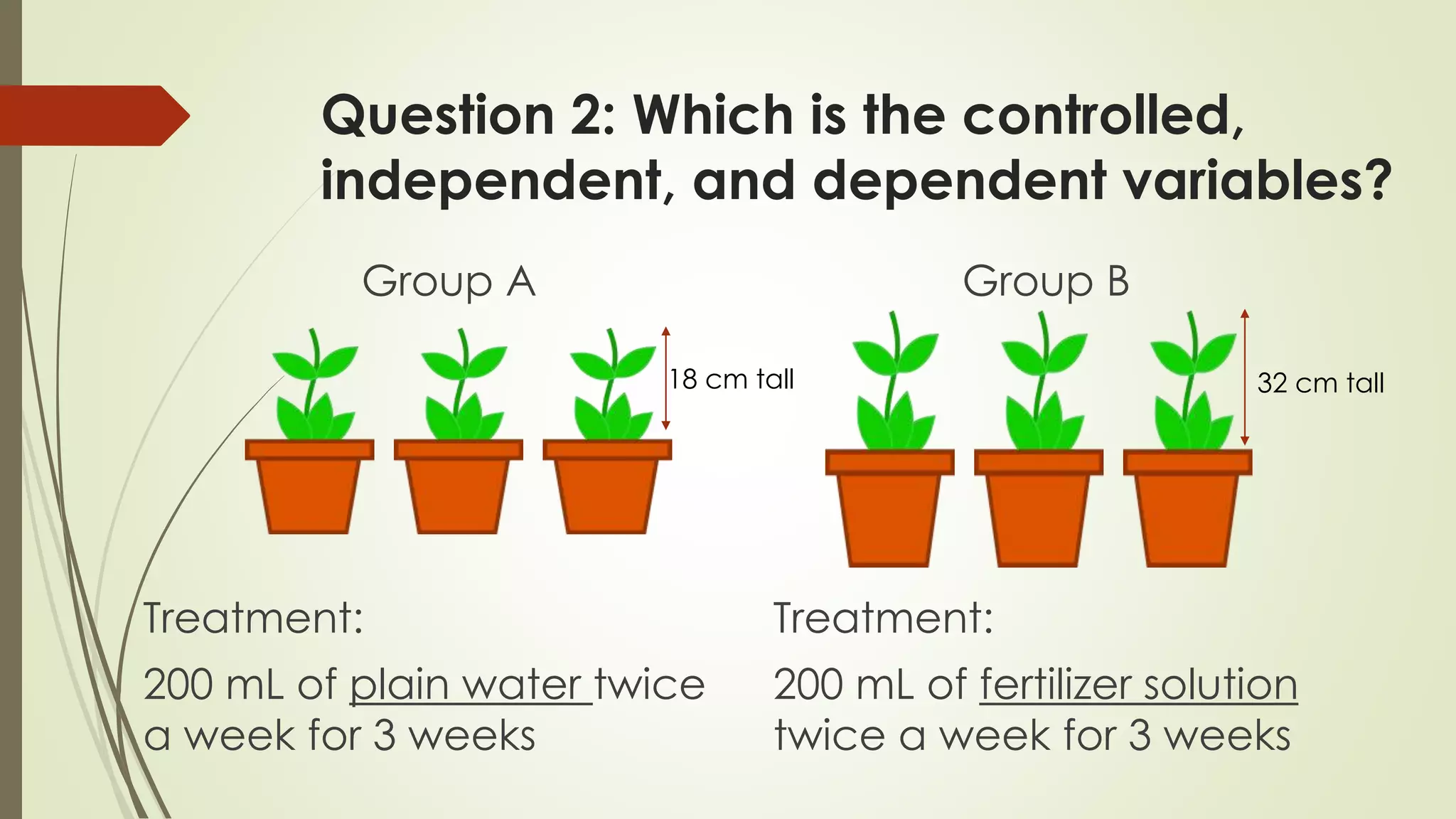 Question 2: Which is the controlled,
independent, and dependent variables?
Treatment:
200 mL of plain water twice
a week for 3 weeks
18 cm tall 32 cm tall
Group A Group B
Treatment:
200 mL of fertilizer solution
twice a week for 3 weeks
 