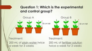Question 1: Which is the experimental
and control group?
Treatment:
200 mL of plain water twice
a week for 3 weeks
18 cm tall 32 cm tall
Group A Group B
Treatment:
200 mL of fertilizer solution
twice a week for 3 weeks
 