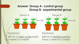 Answer: Group A- control group
Group B- experimental group
Treatment:
200 mL of plain water twice
a week for 3 weeks
18 cm tall 32 cm tall
Group A Group B
Treatment:
200 mL of fertilizer solution
twice a week for 3 weeks
 