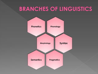 PhonologyPhonetics
Morphology Syntax
PragmaticsSemantics
 