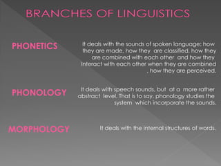 PHONETICS It deals with the sounds of spoken language: how
they are made, how they are classified, how they
are combined with each other and how they
Interact with each other when they are combined
, how they are perceived.
PHONOLOGY
It deals with speech sounds, but at a more rather
abstract level. That is to say, phonology studies the
system which incorporate the sounds.
MORPHOLOGY It deals with the internal structures of words.
 