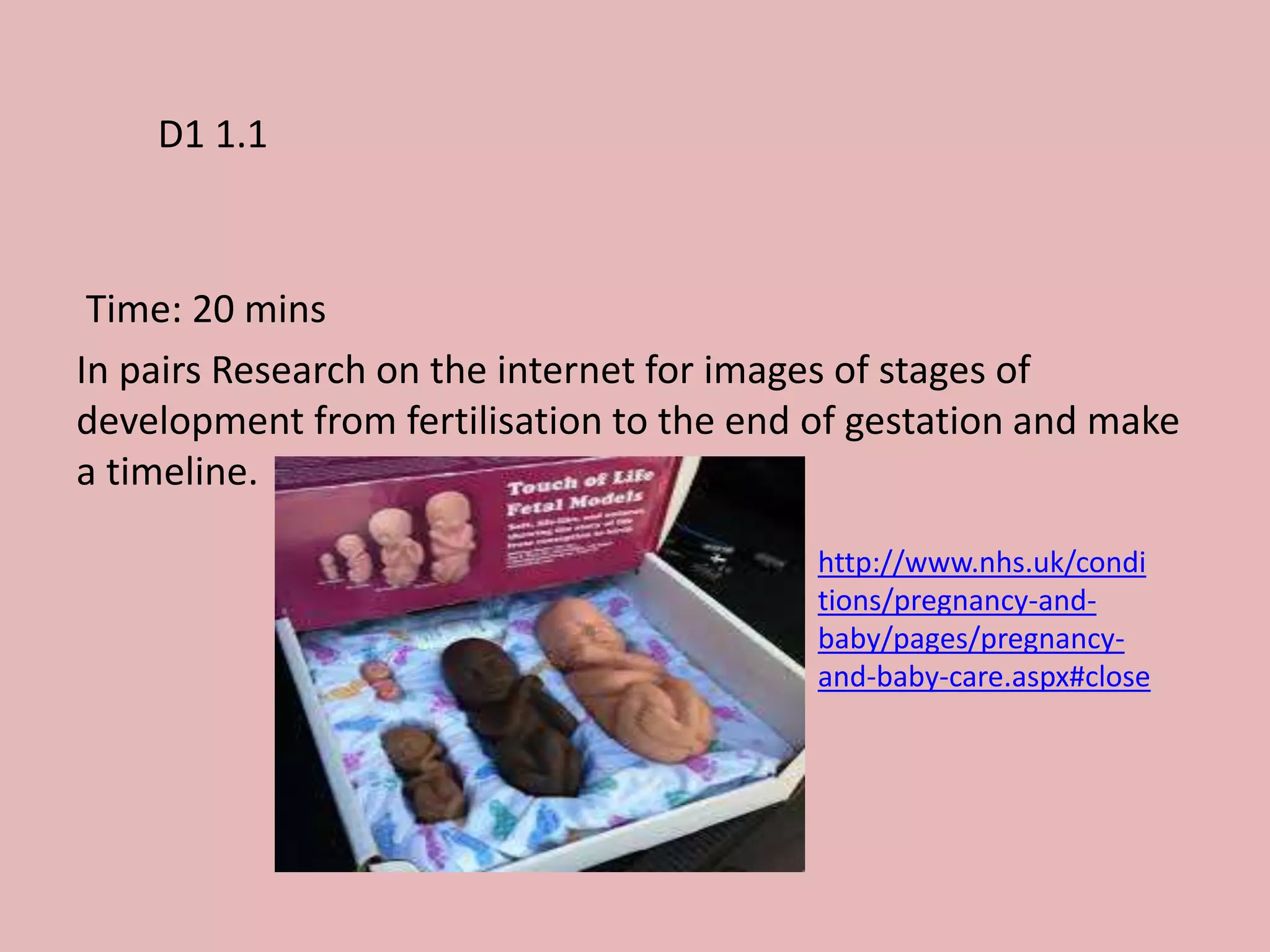Time: 20 mins
In pairs Research on the internet for images of stages of
development from fertilisation to the end of gestation and make
a timeline.
D1 1.1
http://www.nhs.uk/condi
tions/pregnancy-and-
baby/pages/pregnancy-
and-baby-care.aspx#close
 