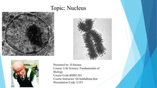 Topic: Nucleus
Presented by: D.Sairam
Course: Life Science: Fundamentals of
Biology
Course Code:BSBT-201
Course Instructor: Dr.Subhabrata Kar
Presentation Code: U1P1
 