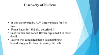 Composition of Nucleus
 Nuclear membrane.
 Nuclear pores.
 Nuclear lamina.
 Chromosomes.
 Nucleolus
 Other Sub Nucle...
