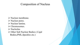 Nuclear Membrane
 Comprises of Two Membranes i.e. Inner and
Outer. ( 10 to 50 nm Separation)
 Encloses the Nucleus; Prev...