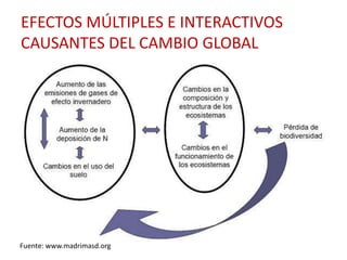 EFECTOS MÚLTIPLES E INTERACTIVOS
CAUSANTES DEL CAMBIO GLOBAL




Fuente: www.madrimasd.org
 