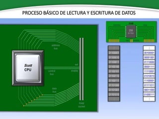PROCESO BÁSICO DE LECTURA Y ESCRITURA DE DATOS
 