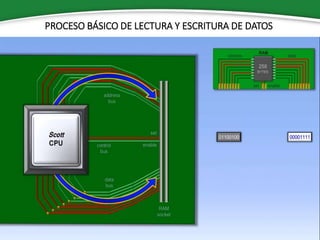 PROCESO BÁSICO DE LECTURA Y ESCRITURA DE DATOS
 