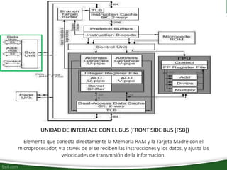 UNIDAD DE INTERFACE CON EL BUS (FRONT SIDE BUS [FSB])
Elemento que conecta directamente la Memoria RAM y la Tarjeta Madre con el
microprocesador, y a través de el se reciben las instrucciones y los datos, y ajusta las
velocidades de transmisión de la información.
 