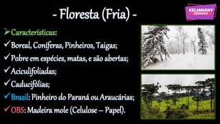 - Floresta (Fria) -
➢Características:
✓Boreal, Coníferas, Pinheiros, Taigas;
✓Pobreem espécies,matas, e são abertas;
✓Aciculifoliadas;
✓Caducifólias;
✓Brasil: Pinheiro do Paraná ou Araucárias;
✓OBS: Madeira mole (Celulose – Papel).
 