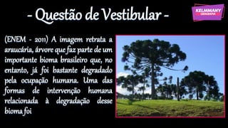 - Questão de Vestibular -
(ENEM - 2011) A imagem retrata a
araucária, árvore que faz parte de um
importante bioma brasileiro que, no
entanto, já foi bastante degradado
pela ocupação humana. Uma das
formas de intervenção humana
relacionada à degradação desse
bioma foi
 