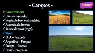 - Campos -
➢Características:
✓Climatemperado;
✓Vegetaçãobemmaisrasteira;
✓Ausênciade árvores;
✓Tapetede ervas(trigo).
✓Tipos:
✓EUA – Pradaria
✓Argentina– Pampas
✓Europa– Estepes
✓Brasil- Campinas
 