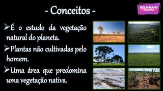 - Conceitos -
➢É o estudo da vegetação
natural do planeta.
➢Plantas não cultivadas pelo
homem.
➢Uma área que predomina
uma vegetação nativa.
 