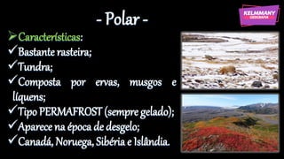 - Polar -
➢Características:
✓Bastante rasteira;
✓Tundra;
✓Composta por ervas, musgos e
líquens;
✓Tipo PERMAFROST(sempre gelado);
✓Aparece na época de desgelo;
✓Canadá, Noruega, Sibéria e Islândia.
 