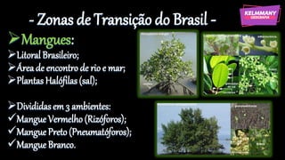 - Zonas de Transição do Brasil -
➢Mangues:
➢LitoralBrasileiro;
➢Áreade encontro de rio e mar;
➢Plantas Halófilas(sal);
➢Divididasem 3 ambientes:
✓Mangue Vermelho(Rizóforos);
✓Mangue Preto (Pneumatóforos);
✓MangueBranco.
 