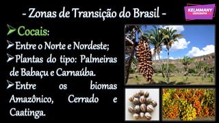- Zonas de Transição do Brasil -
➢Cocais:
➢Entre o Norte e Nordeste;
➢Plantas do tipo: Palmeiras
de Babaçu e Carnaúba.
➢Entre os biomas
Amazônico, Cerrado e
Caatinga.
 