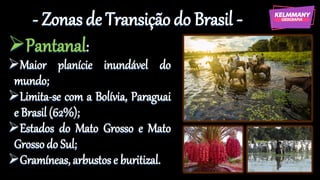 - Zonas de Transição do Brasil -
➢Pantanal:
➢Maior planície inundável do
mundo;
➢Limita-se com a Bolívia, Paraguai
e Brasil (62%);
➢Estados do Mato Grosso e Mato
Grossodo Sul;
➢Gramíneas, arbustos e buritizal.
 