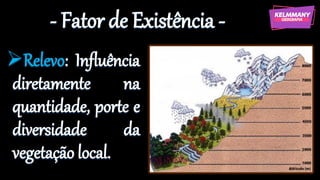 - Fator de Existência -
➢Relevo: Influência
diretamente na
quantidade, porte e
diversidade da
vegetação local.
 