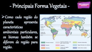 - Principais Forma Vegetais -
➢Como cada região do
planeta apresenta
características
ambientais particulares,
os biomas também se
diferem de região para
região.
 