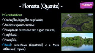 - Floresta (Quente) -
➢Características:
✓Ombrófilas,higrófilasou pluviais;
✓Ambientequente e úmido;
✓Precipitaçãoentre 2000mm e 4500mm ano;
✓Latifoliada;
✓Perenifólia;
✓Brasil: Amazônica (Equatorial) e a Mata
Atlântica (Tropical).
 