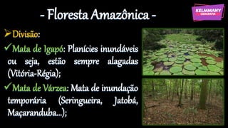 - Floresta Amazônica -
➢Divisão:
✓Mata de Igapó: Planícies inundáveis
ou seja, estão sempre alagadas
(Vitória-Régia);
✓Mata de Várzea: Mata de inundação
temporária (Seringueira, Jatobá,
Maçaranduba...);
 