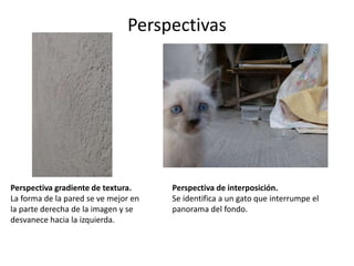 Perspectivas
Perspectiva gradiente de textura.
La forma de la pared se ve mejor en
la parte derecha de la imagen y se
desvanece hacia la izquierda.
Perspectiva de interposición.
Se identifica a un gato que interrumpe el
panorama del fondo.
 