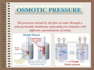 The pressure exerted by the flow of water through a 
semi permeable membrane separating two solutions with
 different concentrations of solute.
 