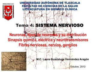 UNIVERSIDAD AUTÓNOMA DE TLAXCALA
FACULTAD DE CIENCIAS DE LA SALUD
LICENCIATURA EN QUÍMICO CLÍNICA

SISTEMA NERVIOSO
Neuronas, tipos de neuronas y su distribución
Sinapsis química, eléctrica y neurotransmisores
Fibras nerviosas, nervios, ganglios

M.C. Laura Guadalupe Hernández Aragón
Octubre, 2013

 