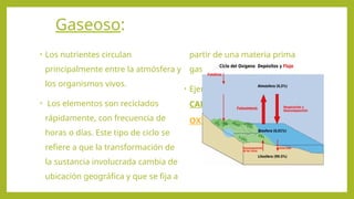 Gaseoso:
• Los nutrientes circulan
principalmente entre la atmósfera y
los organismos vivos.
• Los elementos son reciclados
rápidamente, con frecuencia de
horas o días. Este tipo de ciclo se
refiere a que la transformación de
la sustancia involucrada cambia de
ubicación geográfica y que se fija a
partir de una materia prima
gaseosa.
• Ejemplos de ciclos gaseosos son el
CARBONO, el NITRÓGENO y
OXÍGENO.
 