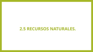 2.5 RECURSOS NATURALES.
 