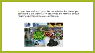 • Y que son valiosos para las sociedades humanas por
contribuir a su bienestar y desarrollo de manera directa
(materias primas, minerales, alimentos).
 