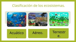 Clasificación de los ecosistemas.
Acuático
.
Aéreo. Terrestr
e.
 