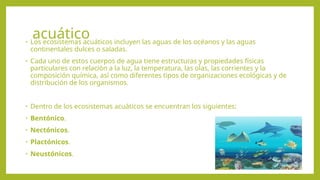 acuático
• Los ecosistemas acuáticos incluyen las aguas de los océanos y las aguas
continentales dulces o saladas.
• Cada uno de estos cuerpos de agua tiene estructuras y propiedades físicas
particulares con relación a la luz, la temperatura, las olas, las corrientes y la
composición química, así como diferentes tipos de organizaciones ecológicas y de
distribución de los organismos.
• Dentro de los ecosistemas acuáticos se encuentran los siguientes:
• Bentónico.
• Nectónicos.
• Plactónicos.
• Neustónicos.
 