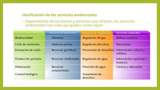 clasificación de los servicios ambientales
• Dependiendo de los bienes y servicios que ofrecen, los servicios
ambientales han sido agrupados como sigue:
 