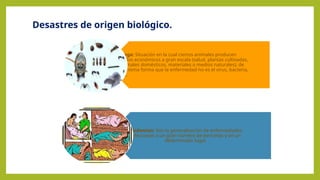 Desastres de origen biológico.
Plaga: Situación en la cual ciertos animales producen
daños económicos a gran escala (salud, plantas cultivadas,
animales domésticos, materiales o medios naturales); de
la misma forma que la enfermedad no es el virus, bacteria,
etc.
Epidemias: Son la generalización de enfermedades
infecciosas a un gran número de personas y en un
determinado lugar.
 