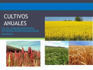CULTIVOS
ANUALES
U2: EL AGROECOSISTEMA:
NUESTRA RESPONSABILIDAD
nosa2020
 